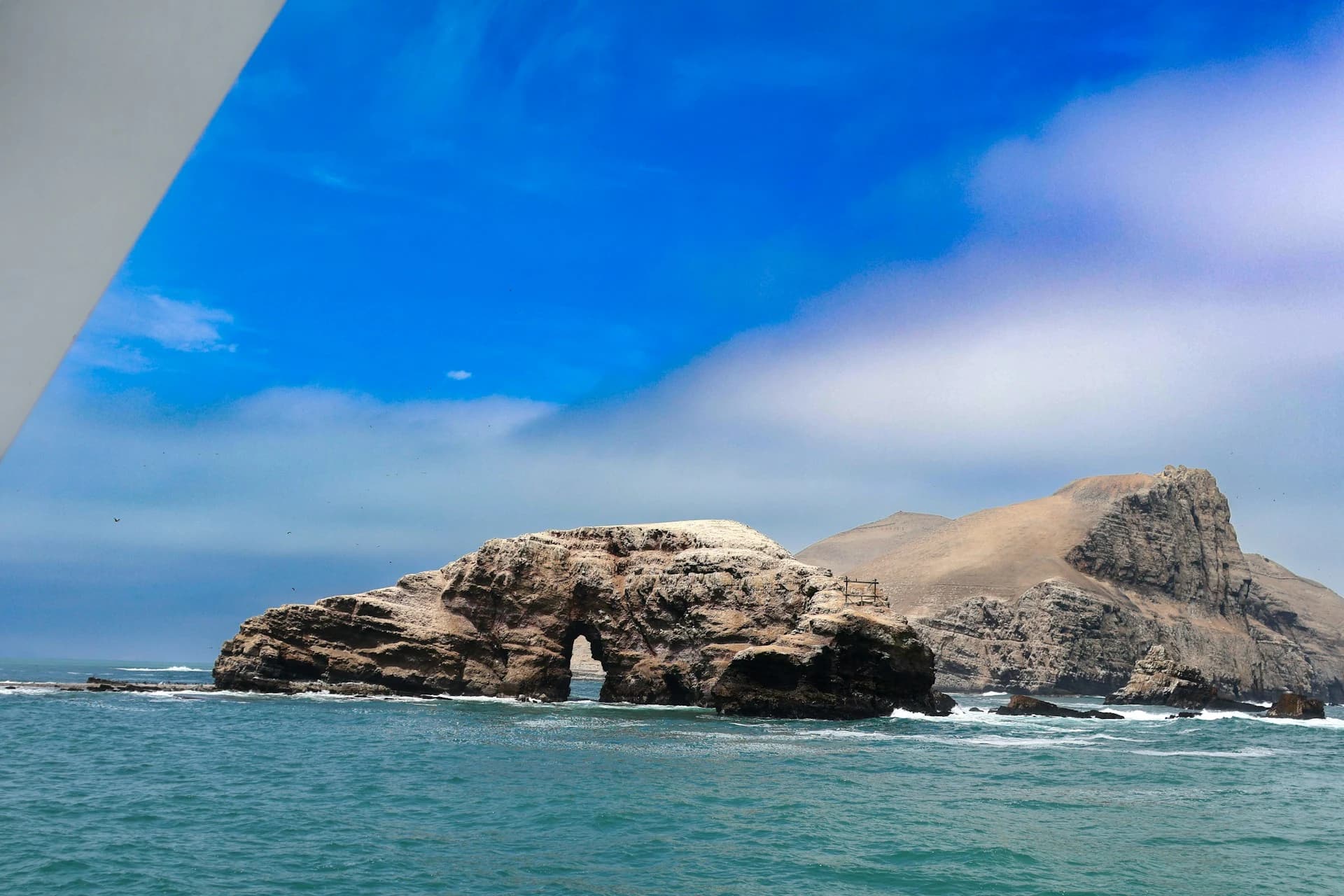 Swimmers in wetsuits floating among South American sea lions in the Pacific off the Palomino Islands near Callao