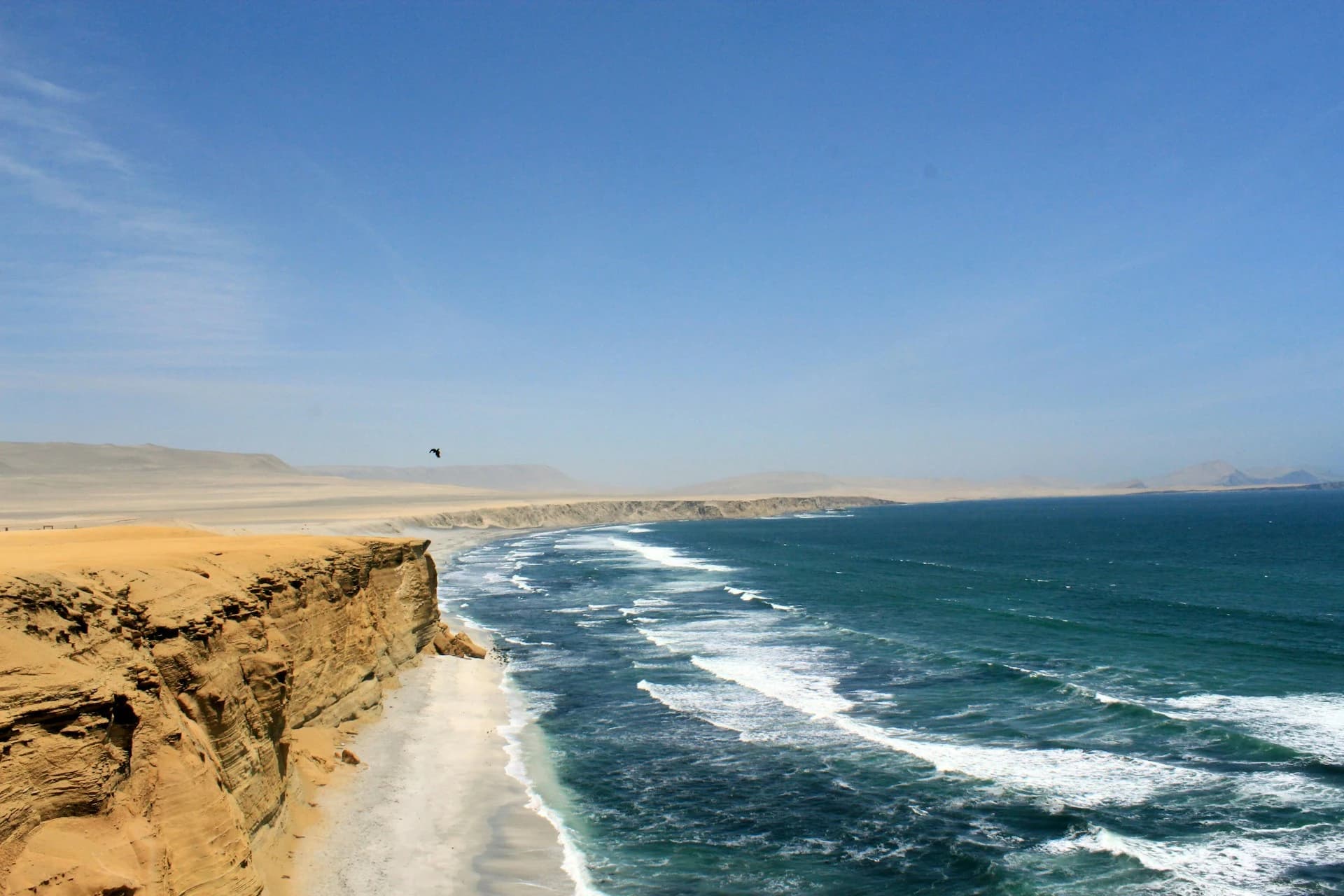 Sea lions on the Ballestas Islands rocks off Paracas with a tour boat passing on the Peruvian coast